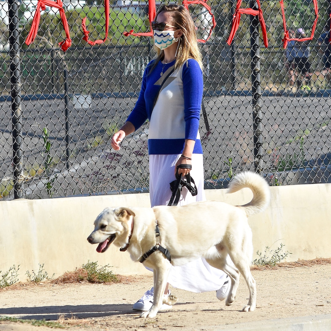Where Is Olivia Wilde’s Dog? Rescue Group Responds to Nanny’s Remarks